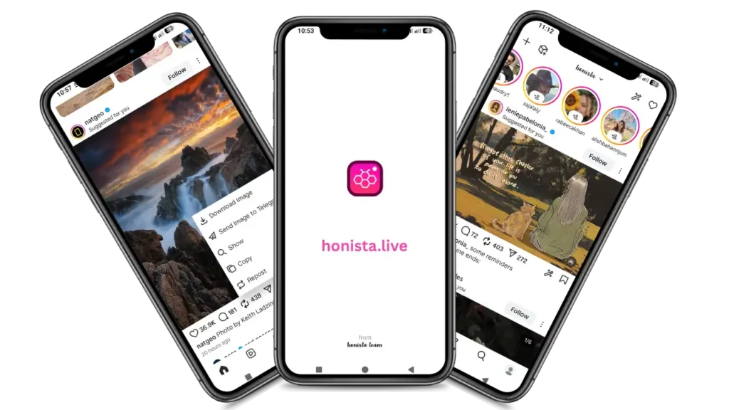Honista 2 Honista App